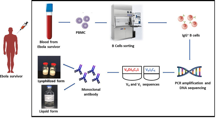 Figure 1