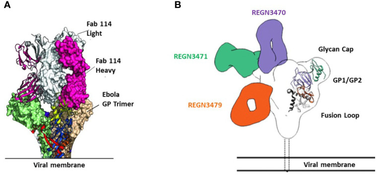 Figure 2