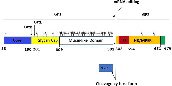 Figure 6