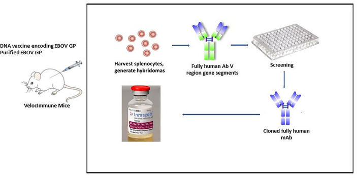 Figure 4