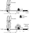 FIG. 10.