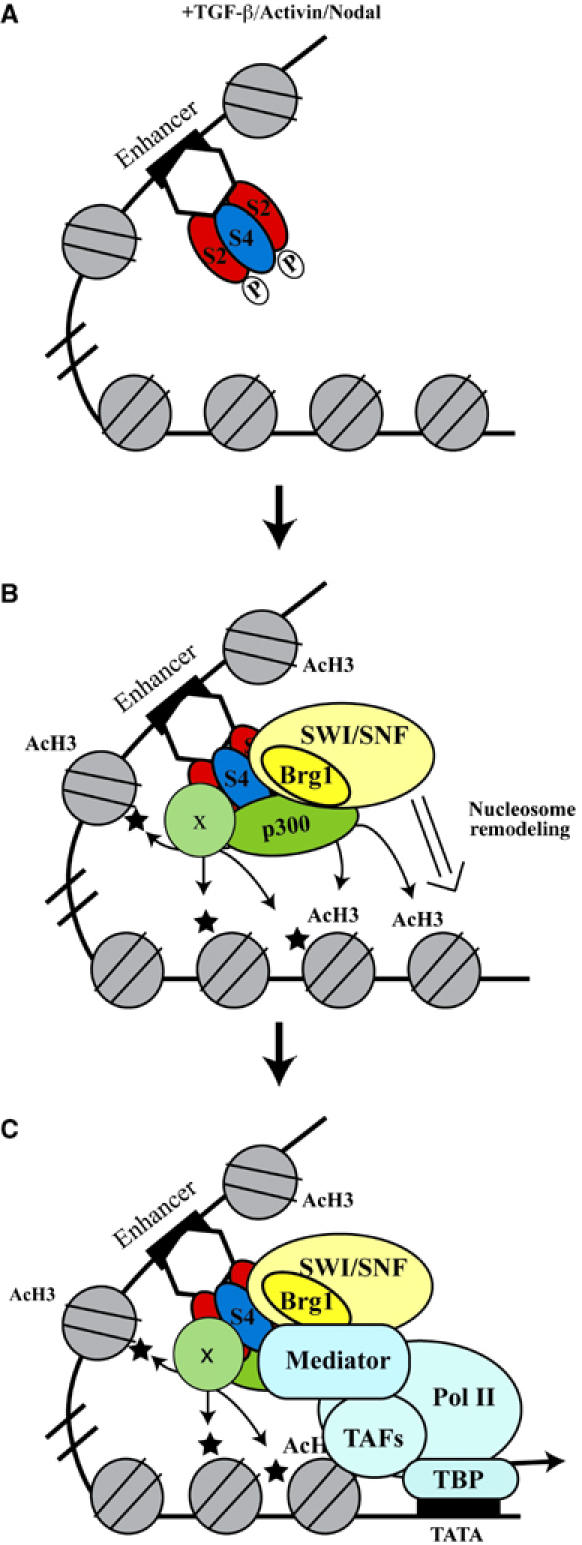 Figure 7