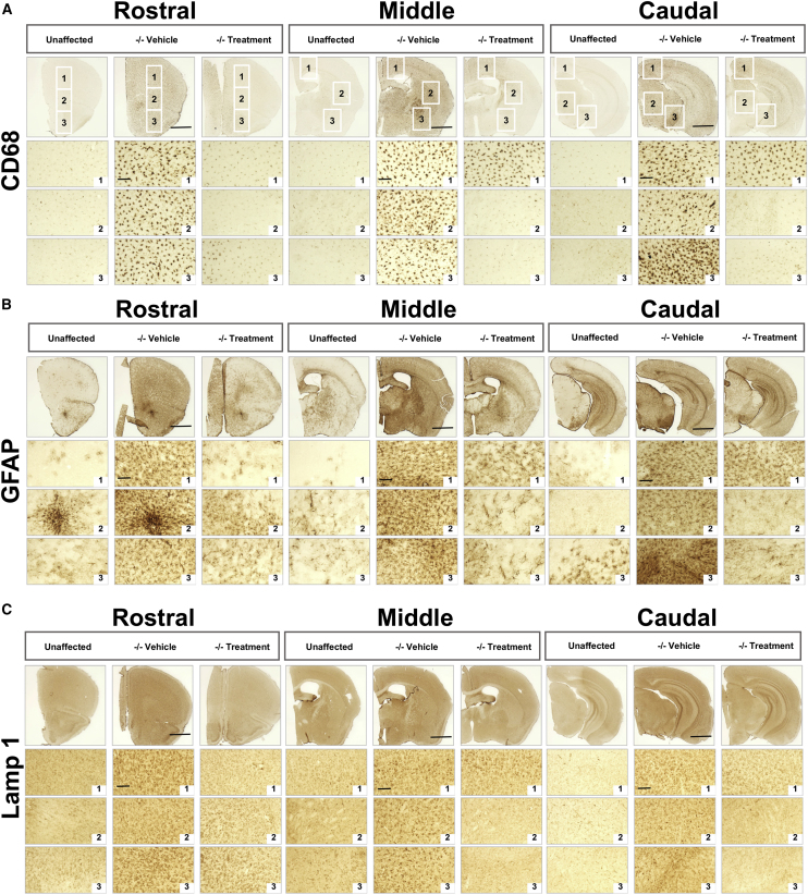 Figure 6