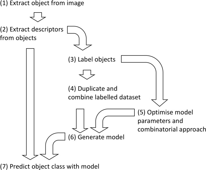 Figure 3—figure supplement 1.