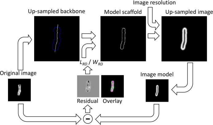 Figure 2—figure supplement 1.