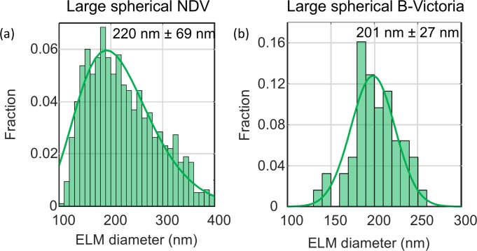 Figure 4—figure supplement 1.