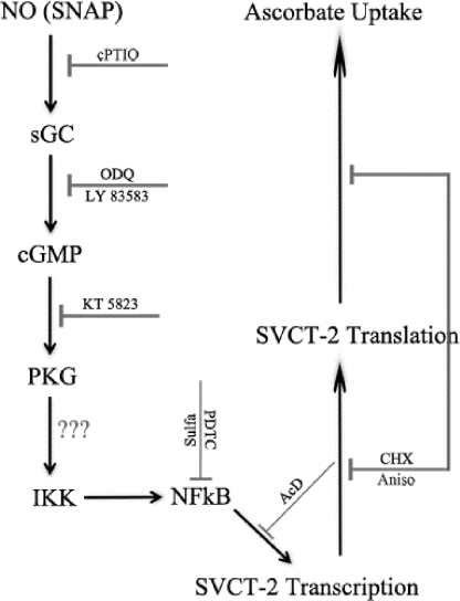 FIGURE 10.