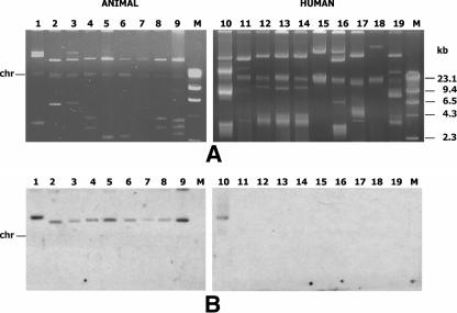 FIG. 2.