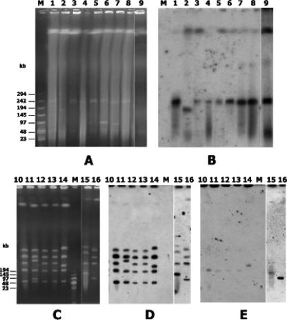 FIG. 3.