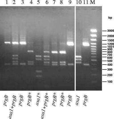 FIG. 5.