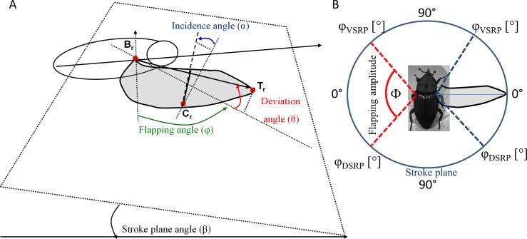 Fig 3