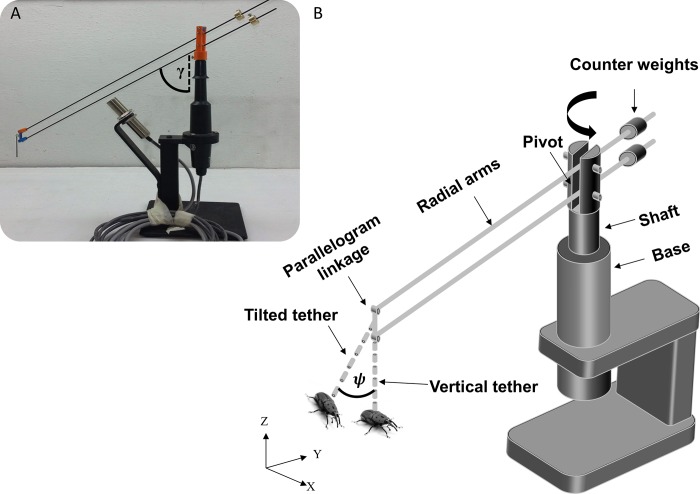 Fig 2