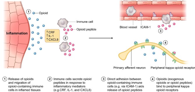 Figure 2: