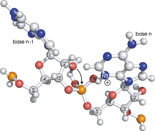 Scheme 3.