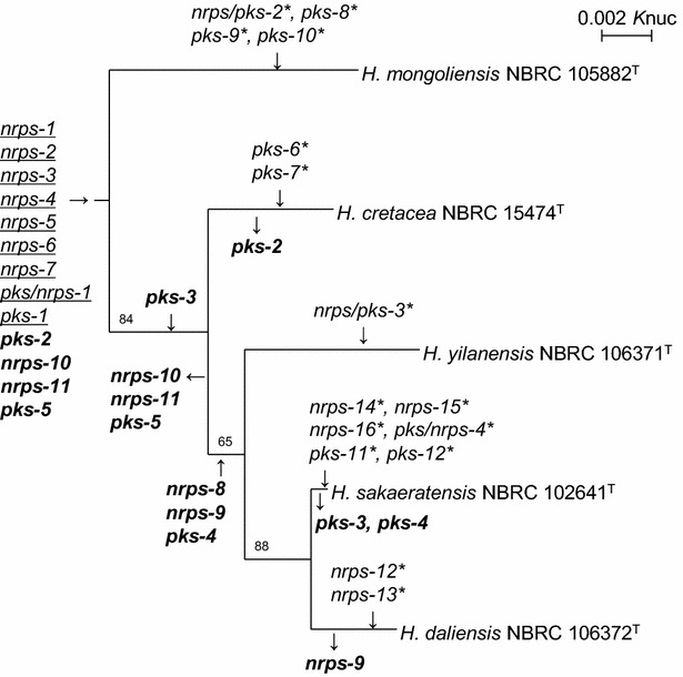 Fig. 2