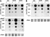 FIG. 4.