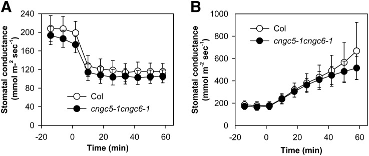 Figure 11.