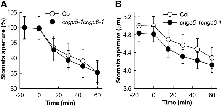 Figure 10.