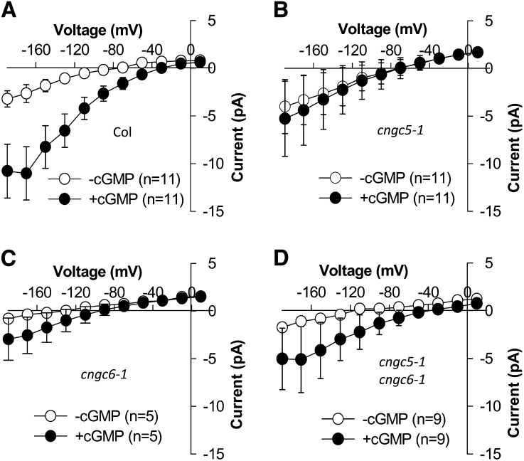 Figure 7.