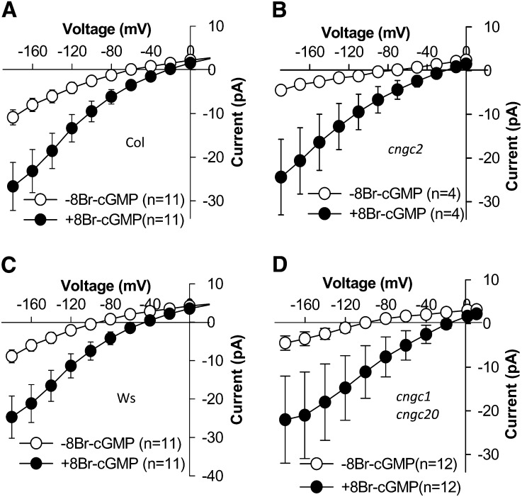 Figure 5.