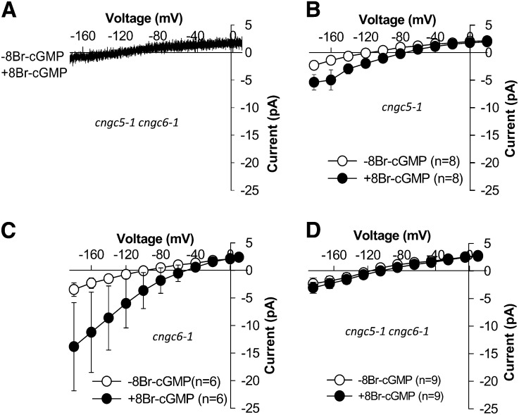 Figure 4.