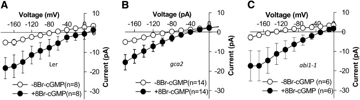 Figure 9.