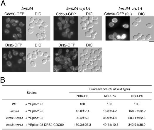 Figure 7.