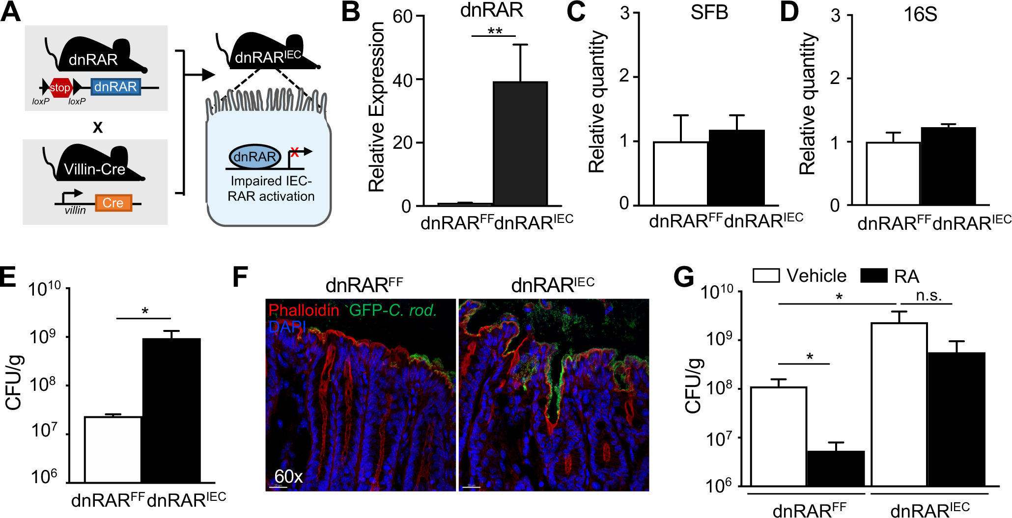 Figure 3: