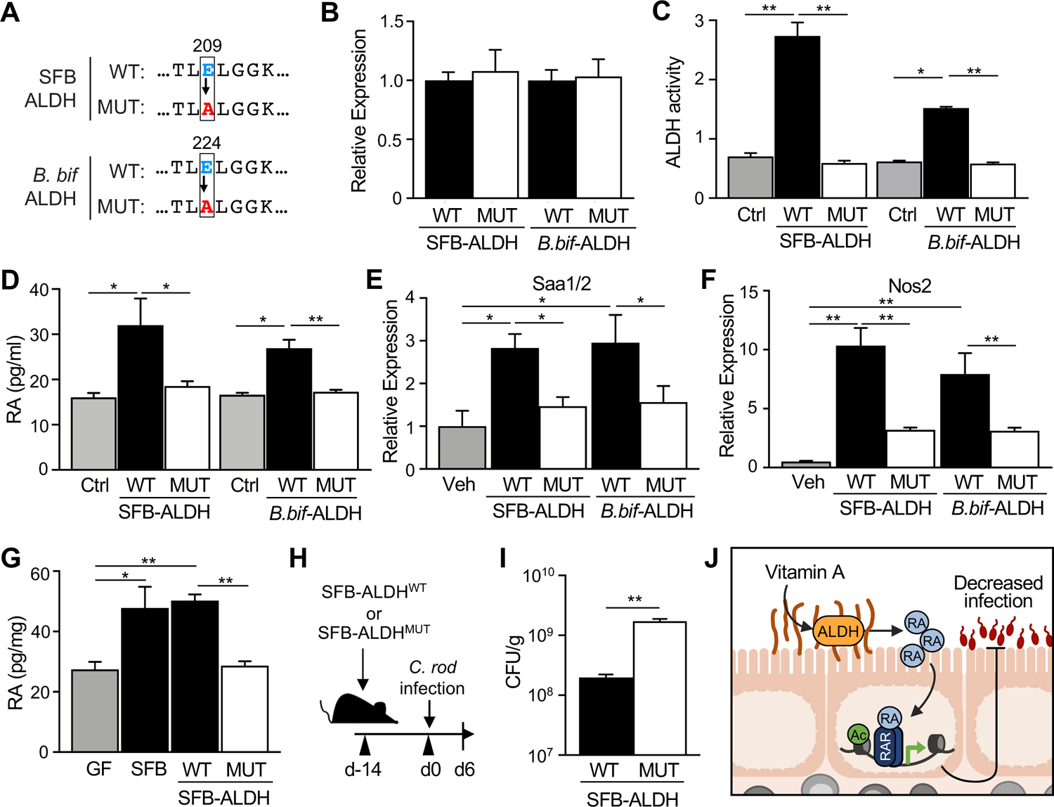 Figure 6: