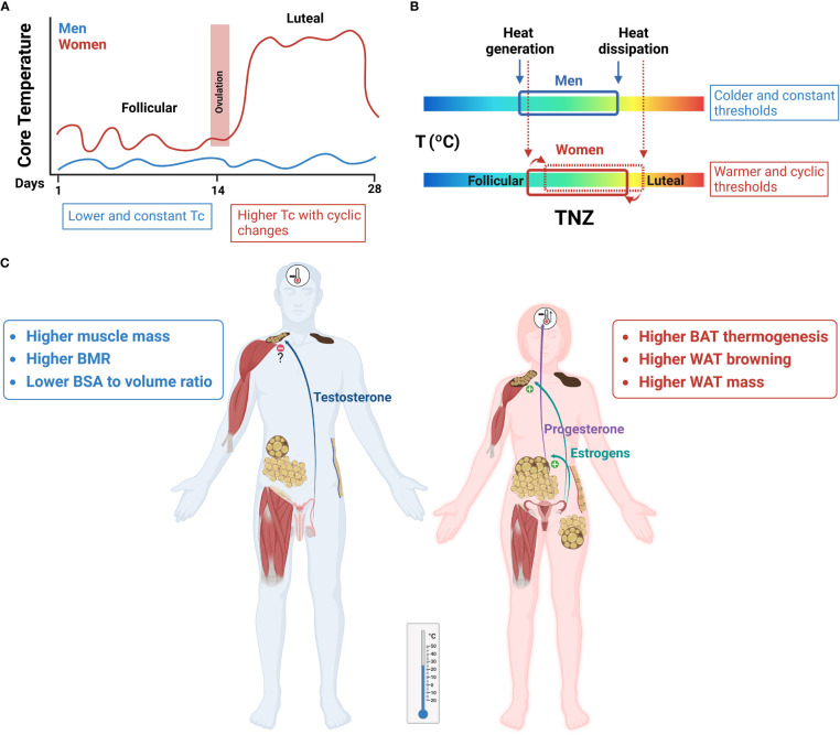 Figure 4