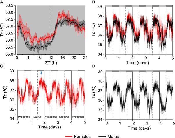 Figure 2