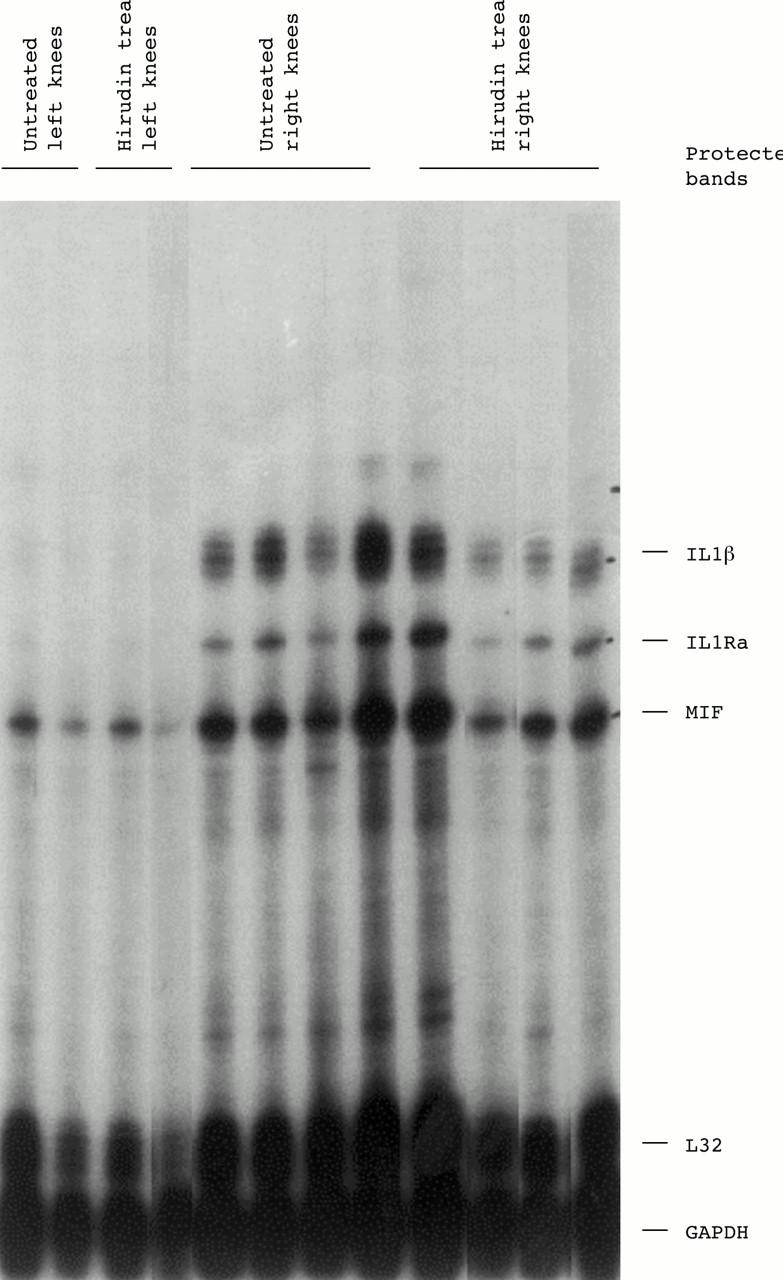 Figure 5  