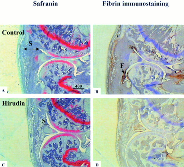 Figure 3  