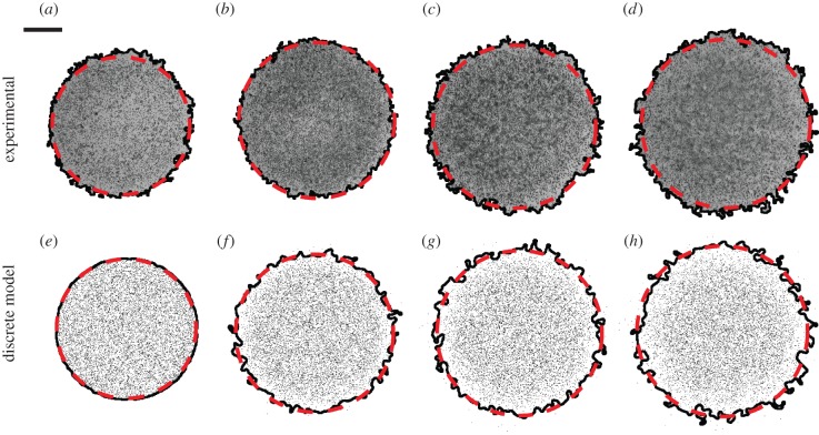 Figure 1.