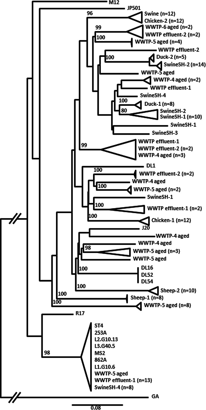 FIG 3