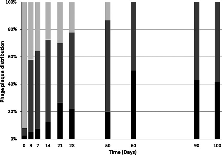 FIG 1