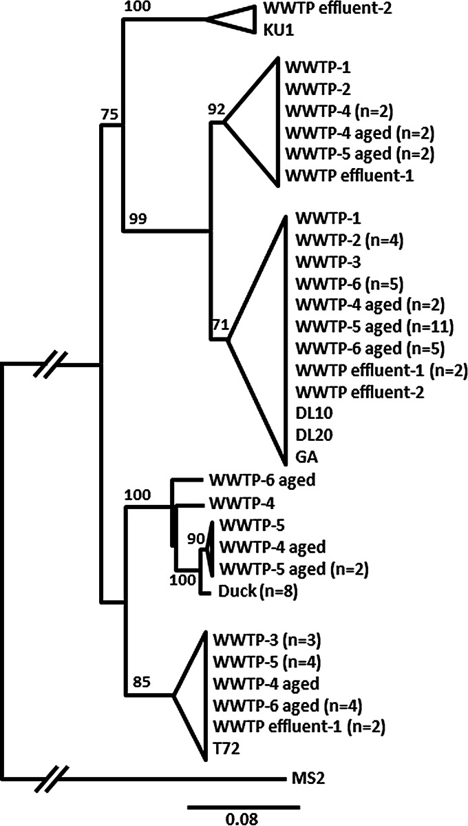 FIG 4