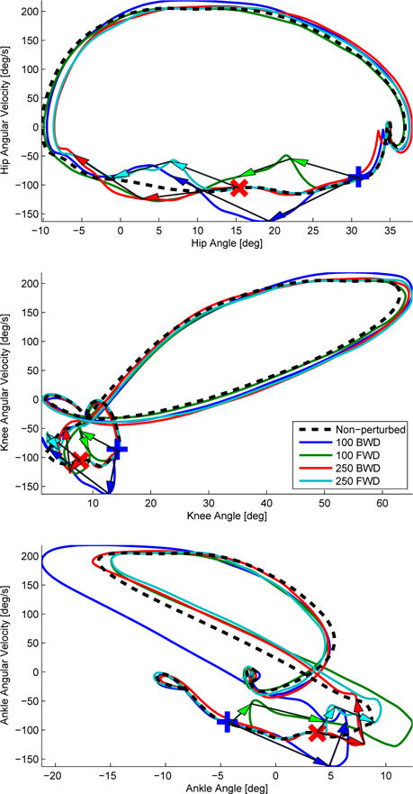 Fig. 12