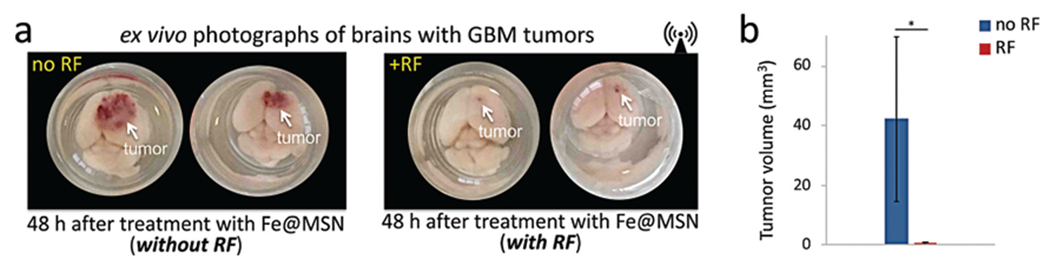 Fig. 6