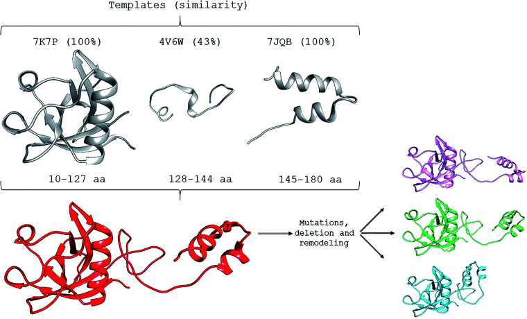 Figure 1.