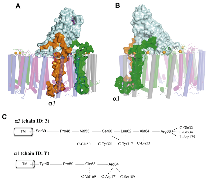 Figure 4