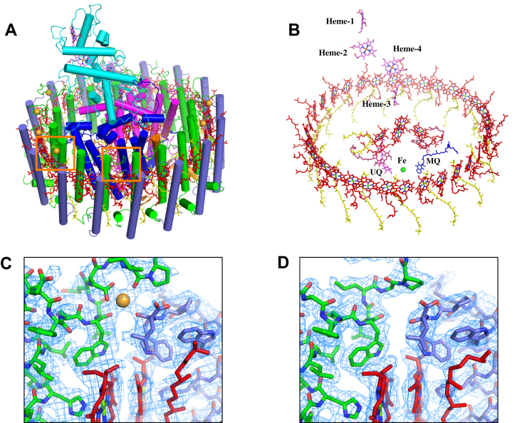 Figure 1