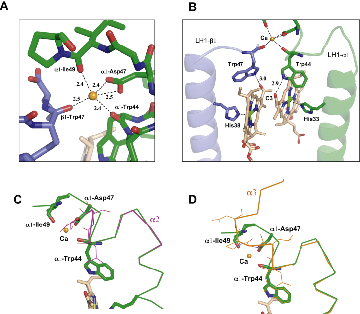 Figure 3