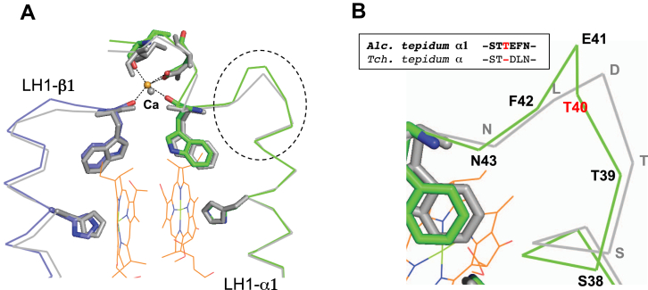 Figure 5