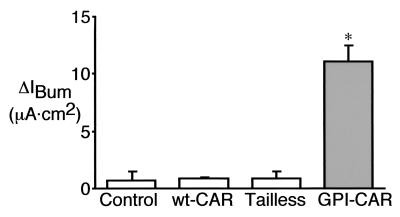 FIG. 7