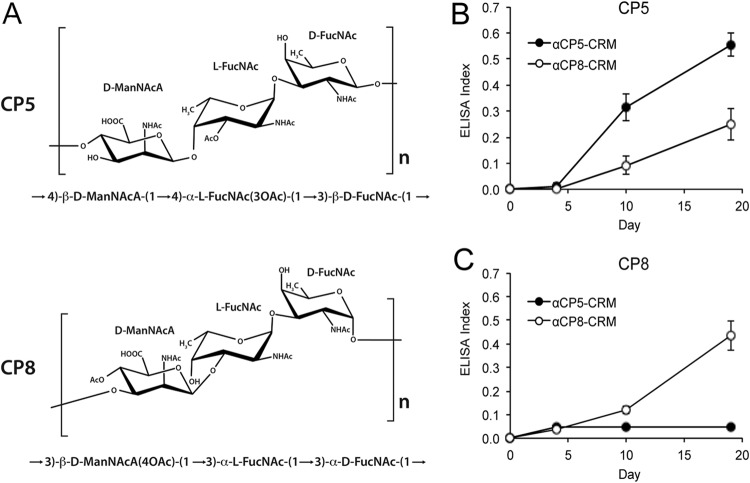 FIG 1