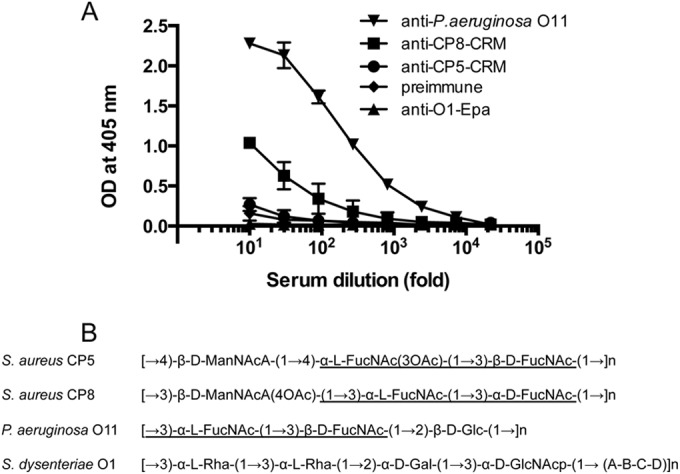 FIG 6