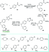 Scheme 16