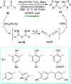 Scheme 23