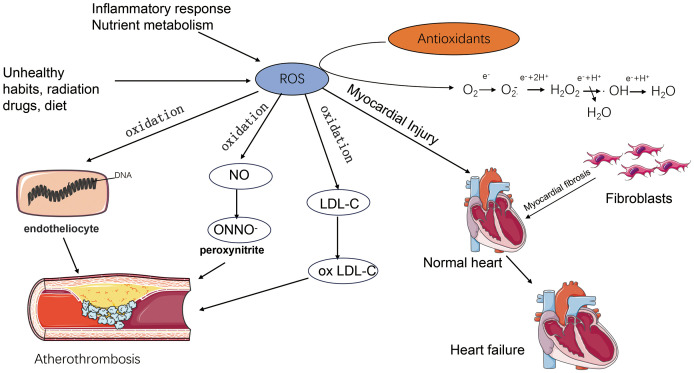 Figure 3